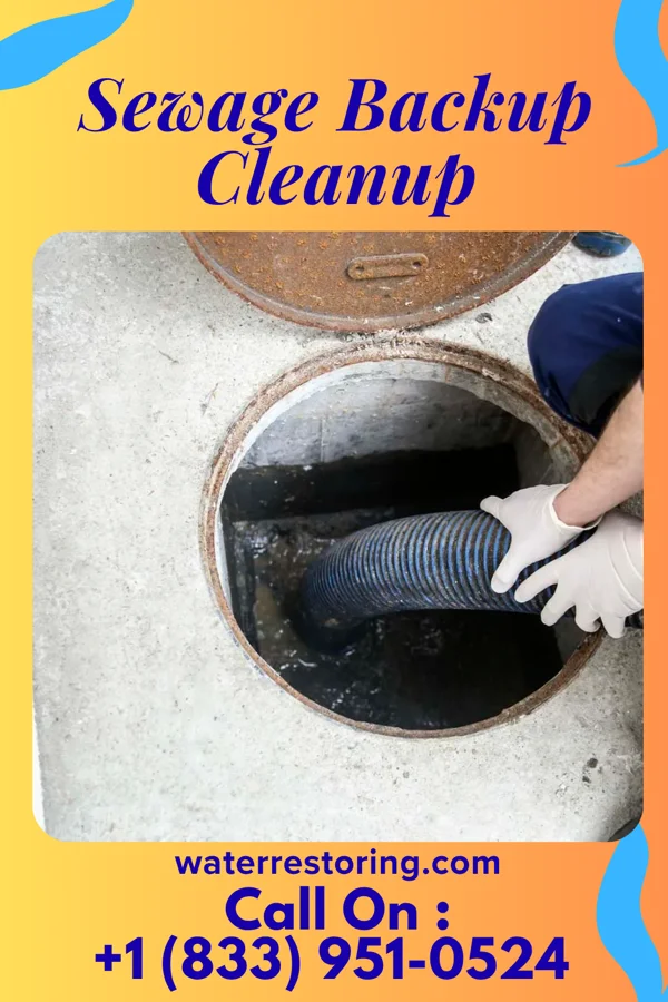 Sewage Backup Cleanup in Edgefield, SC